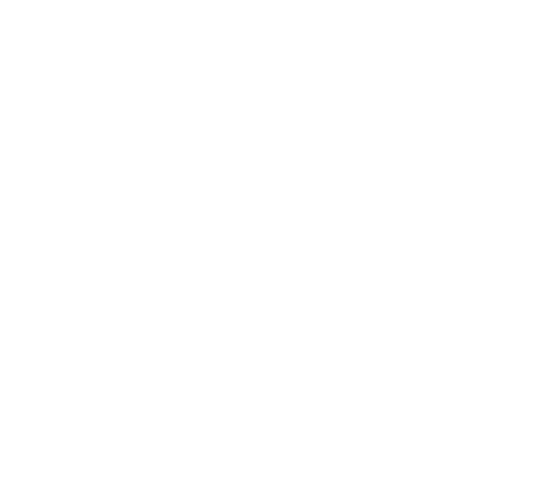 Julian Burchielli